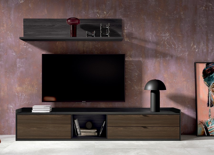 Composición de salón con módulo de TV y estante